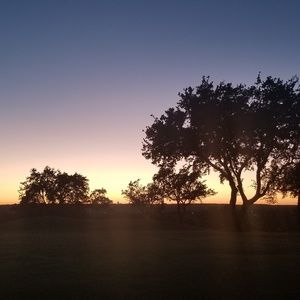 Meet your Posher, Martha